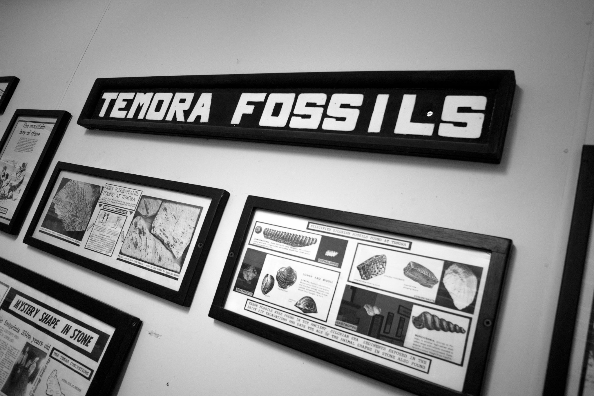 Temora Rural Museum The Riverina