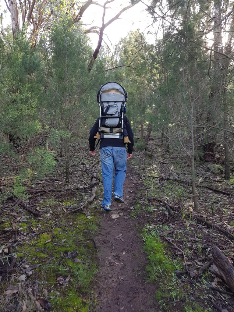 Hiker in forest trail in Cootamundra