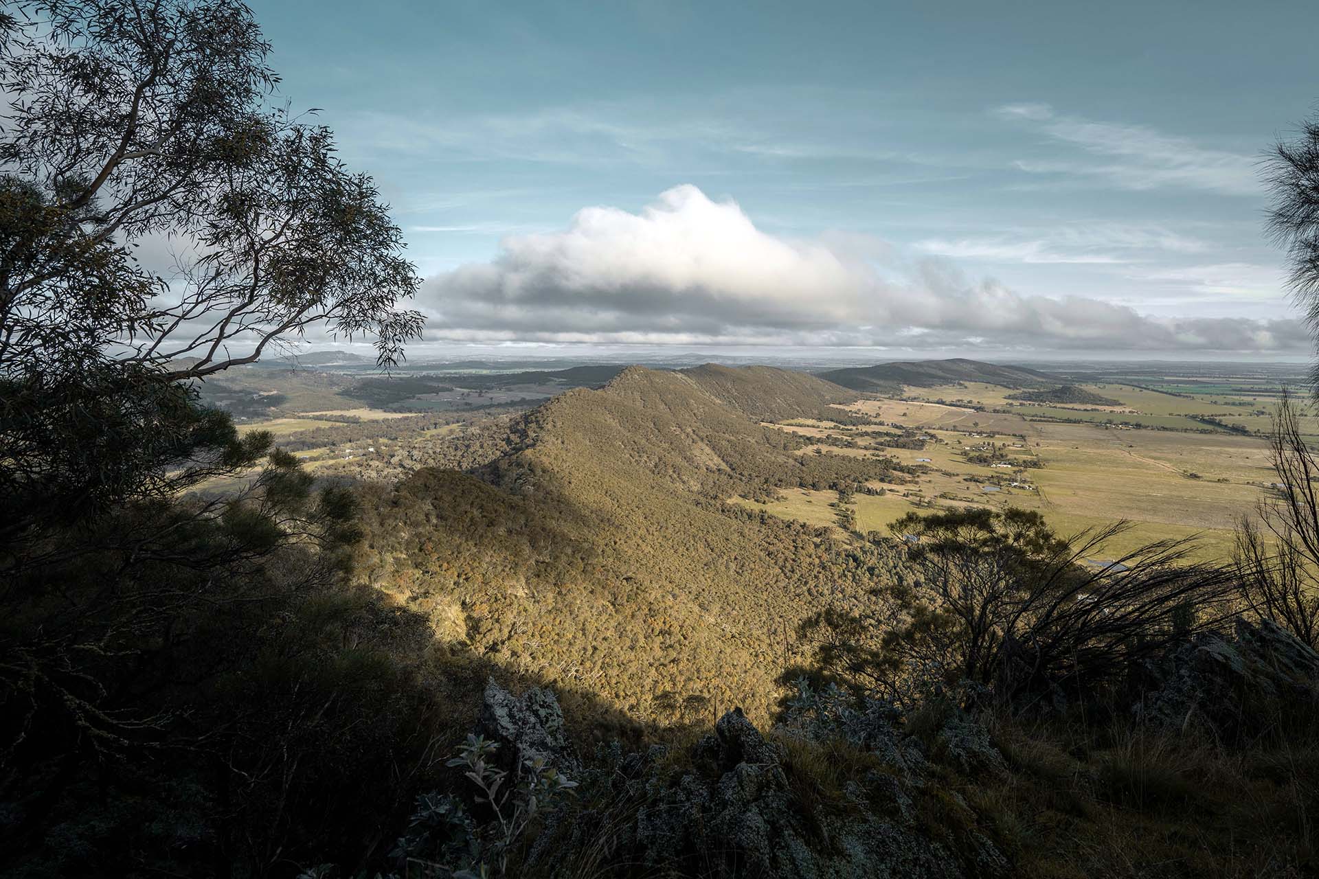 The Rock Lookout - The Riverina